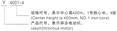 西安泰富西玛Y系列(H355-1000)高压YJTFKK5603-2三相异步电机型号说明