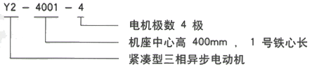 YR系列(H355-1000)高压YJTFKK5603-2三相异步电机西安西玛电机型号说明